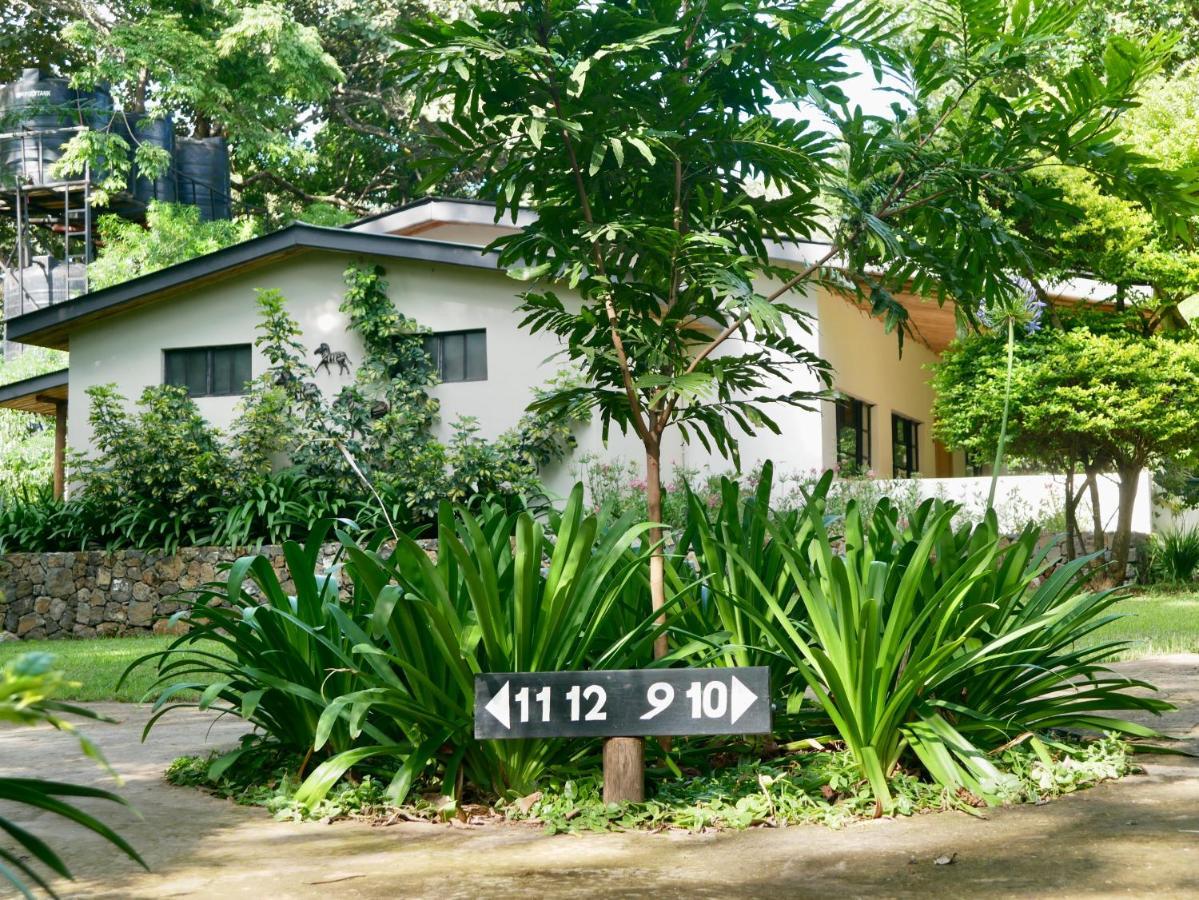 Arusha Villa Karamu Coffee Estate Usa River 외부 사진