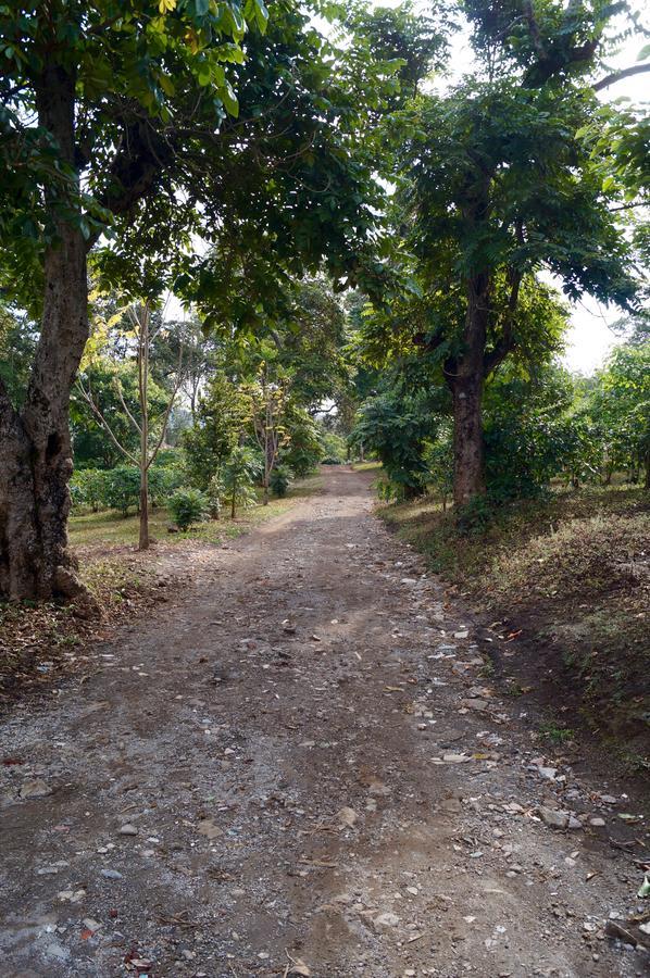 Arusha Villa Karamu Coffee Estate Usa River 외부 사진