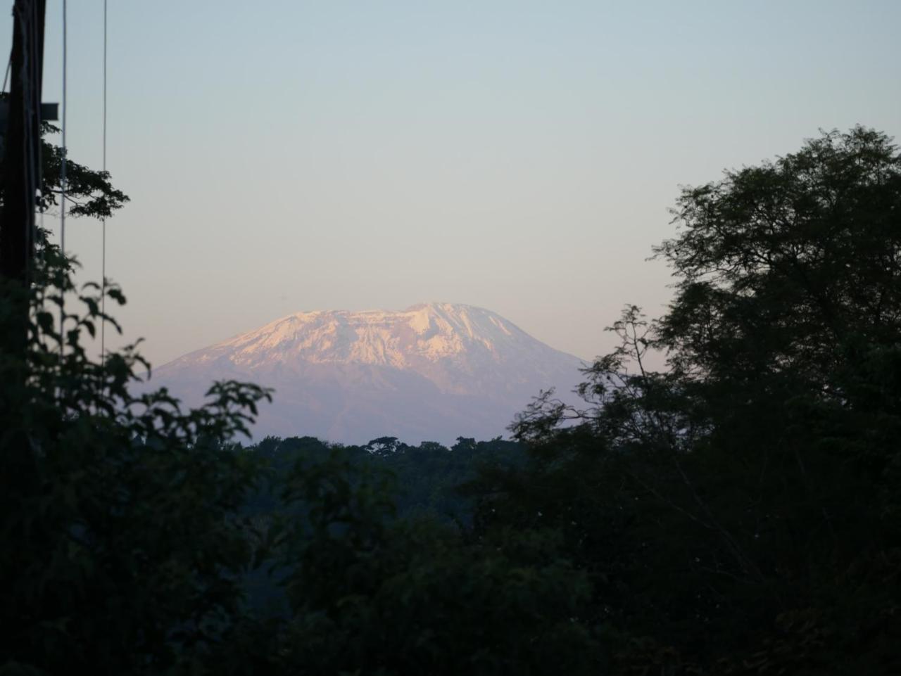 Arusha Villa Karamu Coffee Estate Usa River 외부 사진